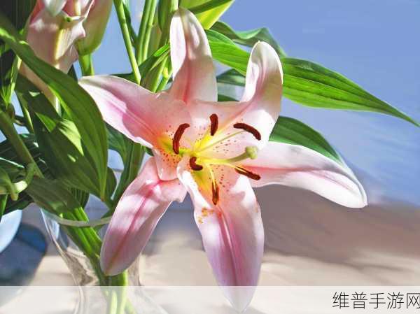 百合游戏：1. 《百合花开的秘密：恋与成长的旅程