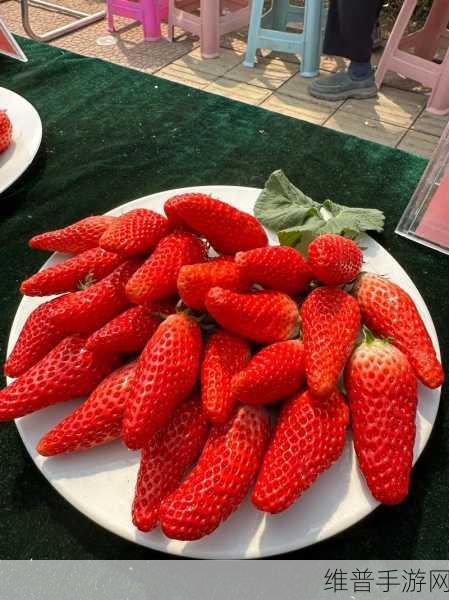 成都香蕉草莓科技有限公司:好的,以下是关于成都香蕉草莓科技有限公司的几个标题建议: