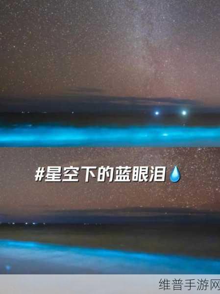 星空无限传媒91男女交流融汇：1. 星空无限：打破性别界限的交流新视野