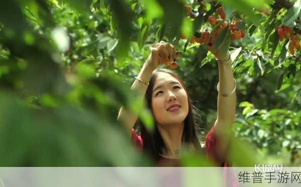 樱桃视频ss:1. 樱桃视频:探索你未曾见过的精彩世界