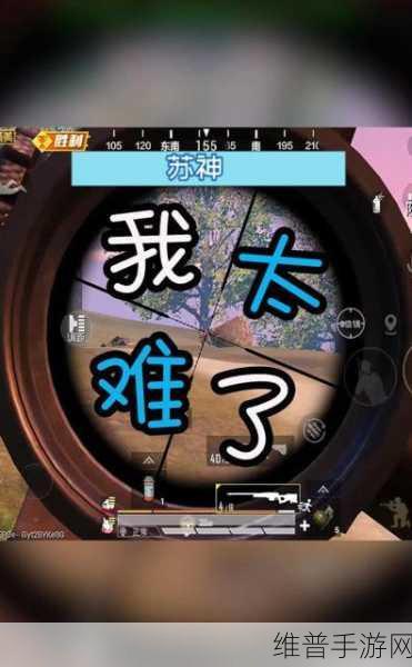 老王家太难了游戏下载,解压必备!极致射击体验攻略