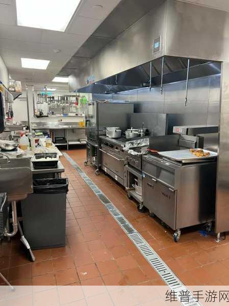 激情后厨：1. 《在激情后厨中寻找 culinary 艺术的灵感