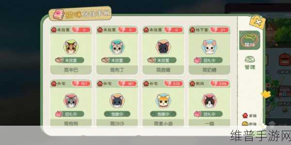 小森生活，多只猫咪领养秘籍大公开
