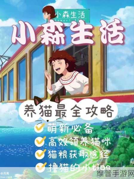 小森生活,多只猫咪领养秘籍大公开