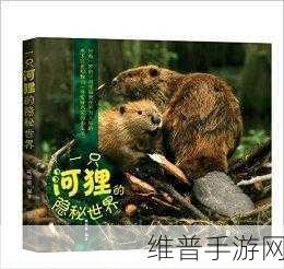 神秘网站：1. 探索神秘网站背后的隐秘世界与故事