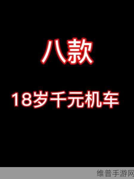 十八岁以下禁止观看的1000个网站:1. 青少年不宜浏览的成人网站及其危害