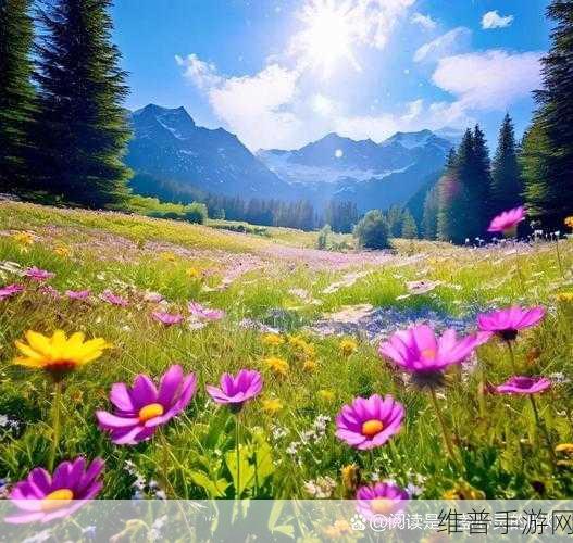 野花社区在线：1. 探索野花社区：连接自然与人心的共享空间