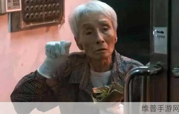 沈阳老阿姨最后巅峰时刻：1. ＂沈阳老阿姨的传奇时刻：巅峰人生的启示