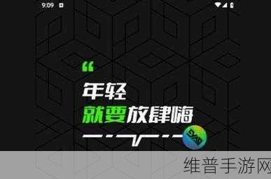9.1视频极速版下载安装：1. 如何快速下载9.1视频极速版并安装？