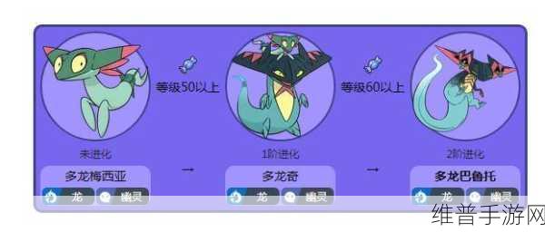 宝可梦大集结，龙舞流多龙巴鲁托深度解析与玩法指南