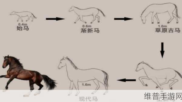 随着马的奔跑更加深入古代:1. 随着马的奔跑,探寻古代文明的足迹