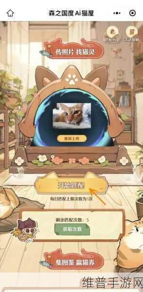 森之国度猫灵强度全方位解析排行