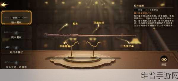 哈利波特魔法觉醒，遗忘药剂使用秘籍大公开