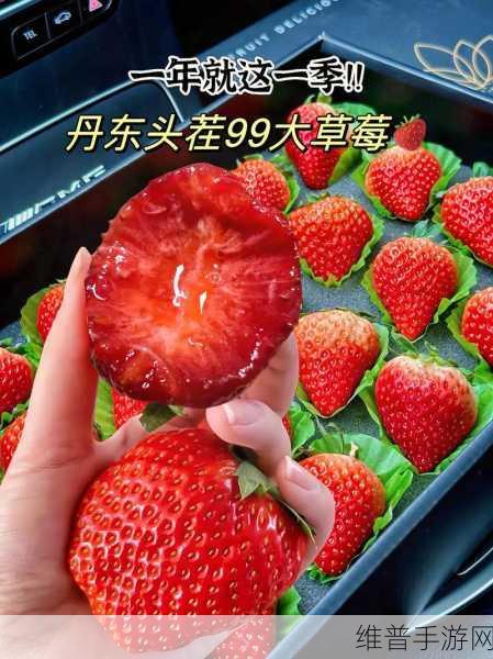 CMSP01草莓视频:1. "探索草莓视频:无限精彩与创意的交融