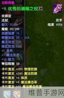 晶核元素师法杖抉择，星尘杖与圣龙法杖深度解析