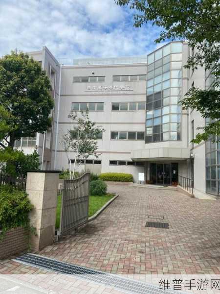 一二三四日本高清社区5：1. 深入探讨一二三四日本文化的独特魅力