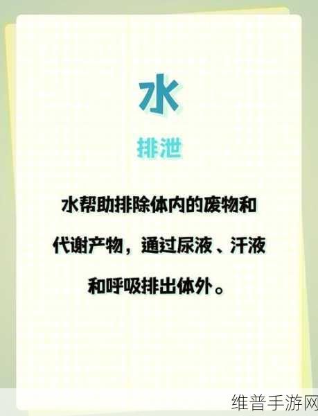 锕锕锕锕锕锕锕好多水软件：1. 《锕锕锕：探索水的奥秘与乐趣
