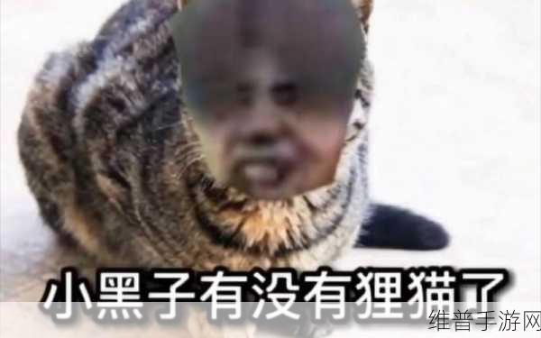 男牛生把坤坤放到女生的定眼是:1. 男牛生眼中的坤坤:女性魅力的全新解读