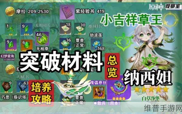 原神草神纳西妲突破材料全攻略,采集路线大揭秘