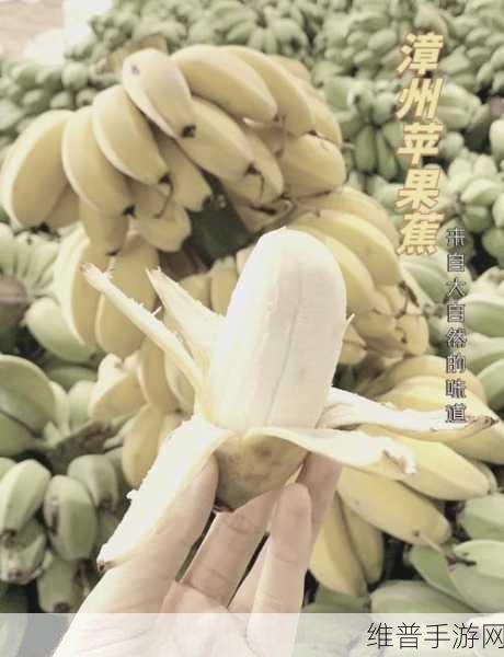 大菠萝导航福建：1. 大菠萝导航：探索福建美食与风景的完美结合