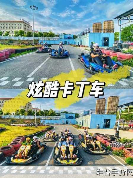竞速卡丁车大师，体验极致速度的激情之旅