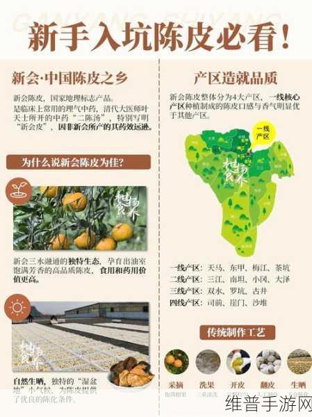 一线产区和二线产区的品牌定位：1. 一线产区：奢华品质与品味的完美结合