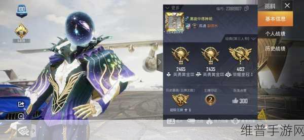 和平精英，维京奇缘套装，粉装属性全解析