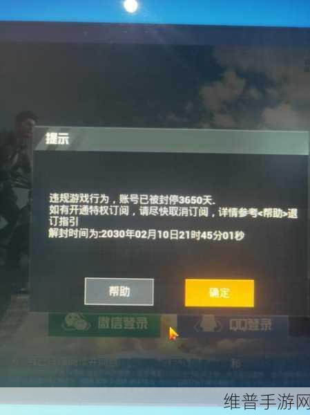 和平精英封号查询全攻略，轻松找到查询入口