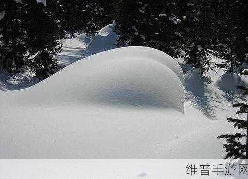 www大白屁股a：1. 探索大白屁股的魅力与奇趣