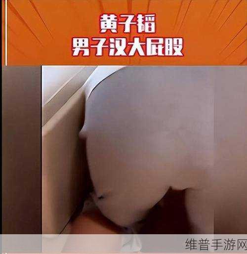 国产大屁股ass：1. 国产大屁股ASS：一场视觉与创新的盛宴