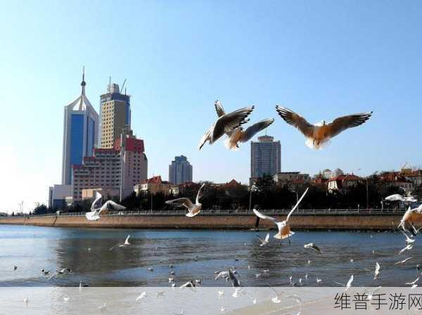 空姐人生游戏下载，解锁翱翔蓝天的梦幻之旅——一款极致好玩的模拟经营游戏