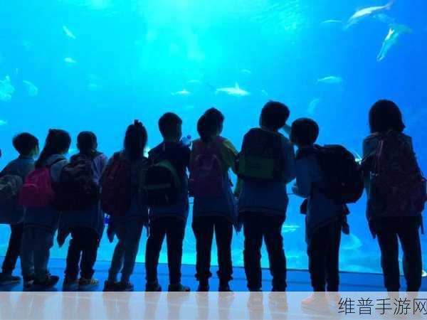 城堡小镇闺蜜世界，探索无限乐趣的休闲益智之旅