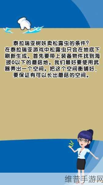 泰拉瑞亚 2021 秘籍大揭秘，控制台代码全分享