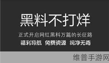万里长征篇黑料不打洋传送门