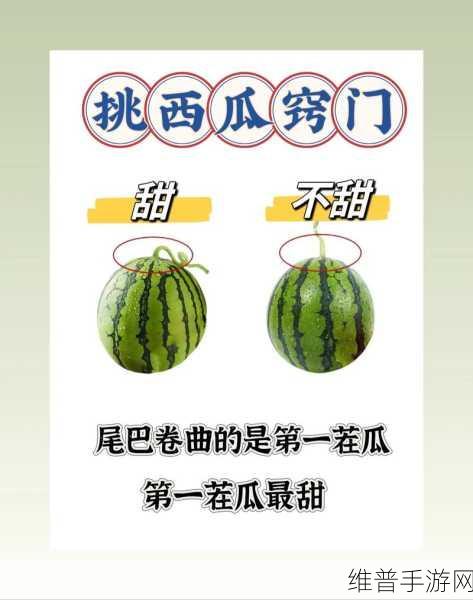 17吃瓜网今日大瓜 热门大瓜：1. “今日热议：娱乐圈新恋情揭晓，内幕让人惊讶！”
