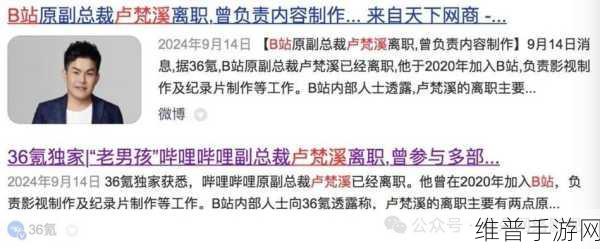 b站未满十八岁不能消费怎么办：1. ＂如何应对未满十八岁用户在B站的消费限制