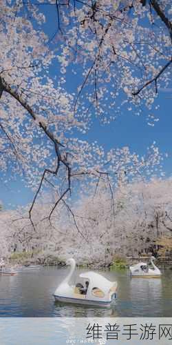 漾出over flower1:1. 漾出花海:自然之美的无限延展