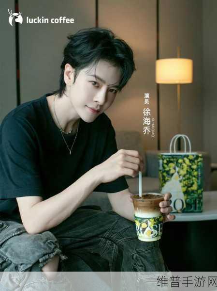 徐海乔结婚了吗：徐海乔的婚姻状况揭晓，背后的故事令人关注！