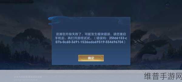 王者荣耀资源包升级失败原因全解析及应对策略
