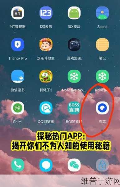 比较污的软件下载:1. 深入探秘:不为人知的污软件世界