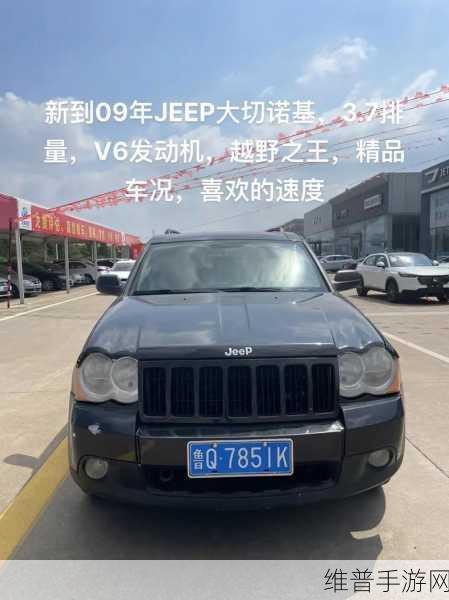 桃红jeep官方主打进口：桃红Jeep：探索未知，自由驰骋的进口越野之旅