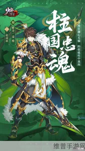 少年三国志 2 姜维培养价值全解析