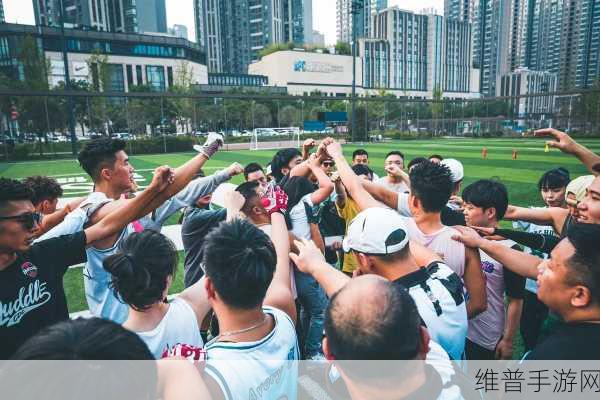 全明星四分卫下载，沉浸式橄榄球运动游戏体验