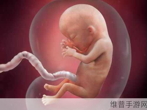 日产无人区一线二线三线新孕妇：1. 深入探索日产无人区的孕妇护理新策略