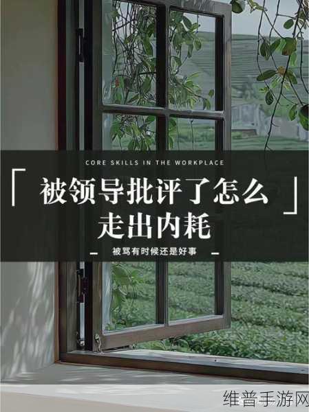 被领导一前一后夹击：被领导夹击，如何有效应对职场挑战与机遇？