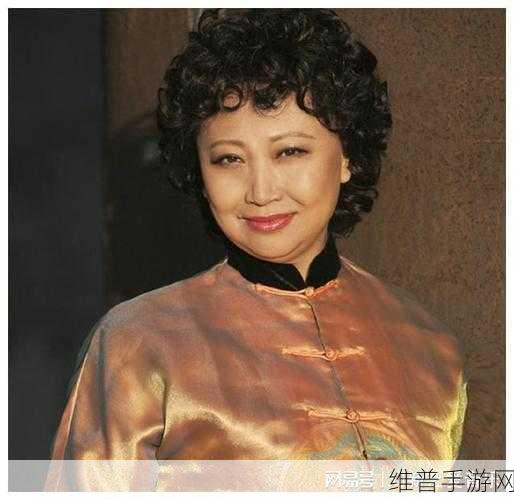 chinese国产高龄老女人：1. 高龄女性的精彩人生：岁月与韧性的故事