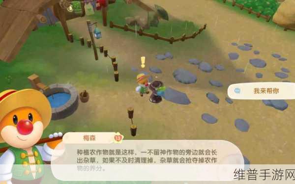 摩尔庄园手游，梅森好感度提升秘籍大公开