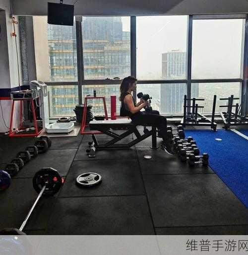 肌肌桶：1. 肌肌桶：打造你的健身新伙伴