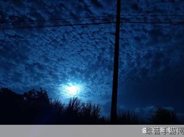 50个夜晚,禁止：在五十个夜晚中的梦境与孤独交织