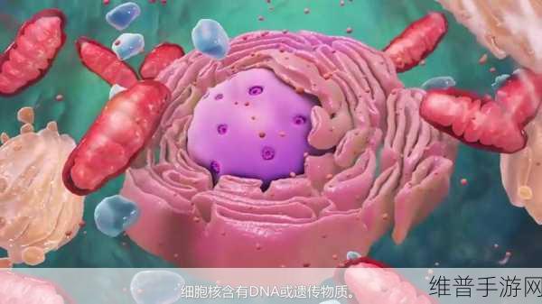 苍蝇模拟器3D手机版下载，探索微观世界的超级不错精彩模拟手游